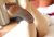 ankara escort